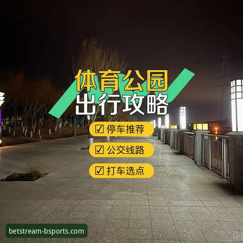 B体育手机平台官方入口与使用完整指南