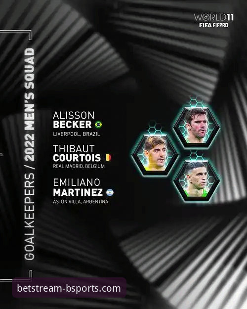 B体育手机平台深度解析与推荐指南